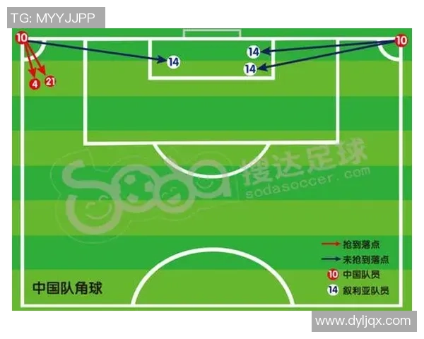 北京排球队世界杯战术分析与表现评估探讨