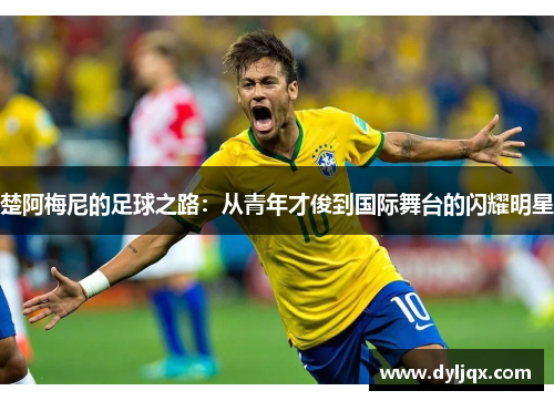 楚阿梅尼的足球之路：从青年才俊到国际舞台的闪耀明星
